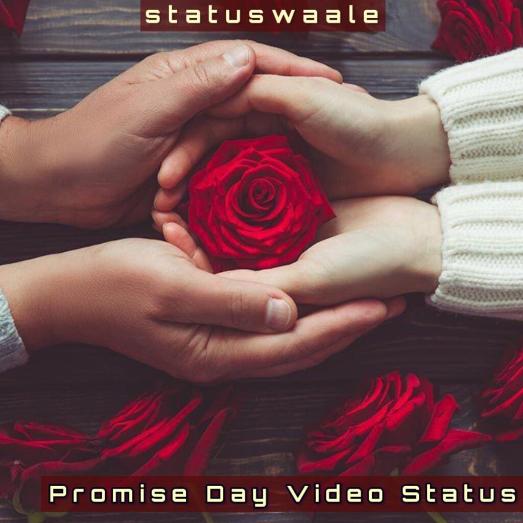 promise day video status download sharechat, promise day whatsapp status video download female version, promise day status video download mirchi, promise day shayari whatsapp status video download, promise day status video download pagalworld, happy promise day best friend status video download, happy promise day status video download 2023, promise day shayari status video download, happy promise day friends status video download, happy promise day video status download, promise day love status video download,