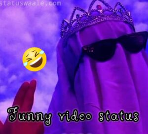 3321+ funny memes download videos, Funny Video Status Download,Instagram Reel funny status video download,4k Funny Video Status Download,college funny video status Download, Full screen Comedy video status Download, funny mood status video Download,Funny whatsapp status video Download,Trending Funny Video Status Download,