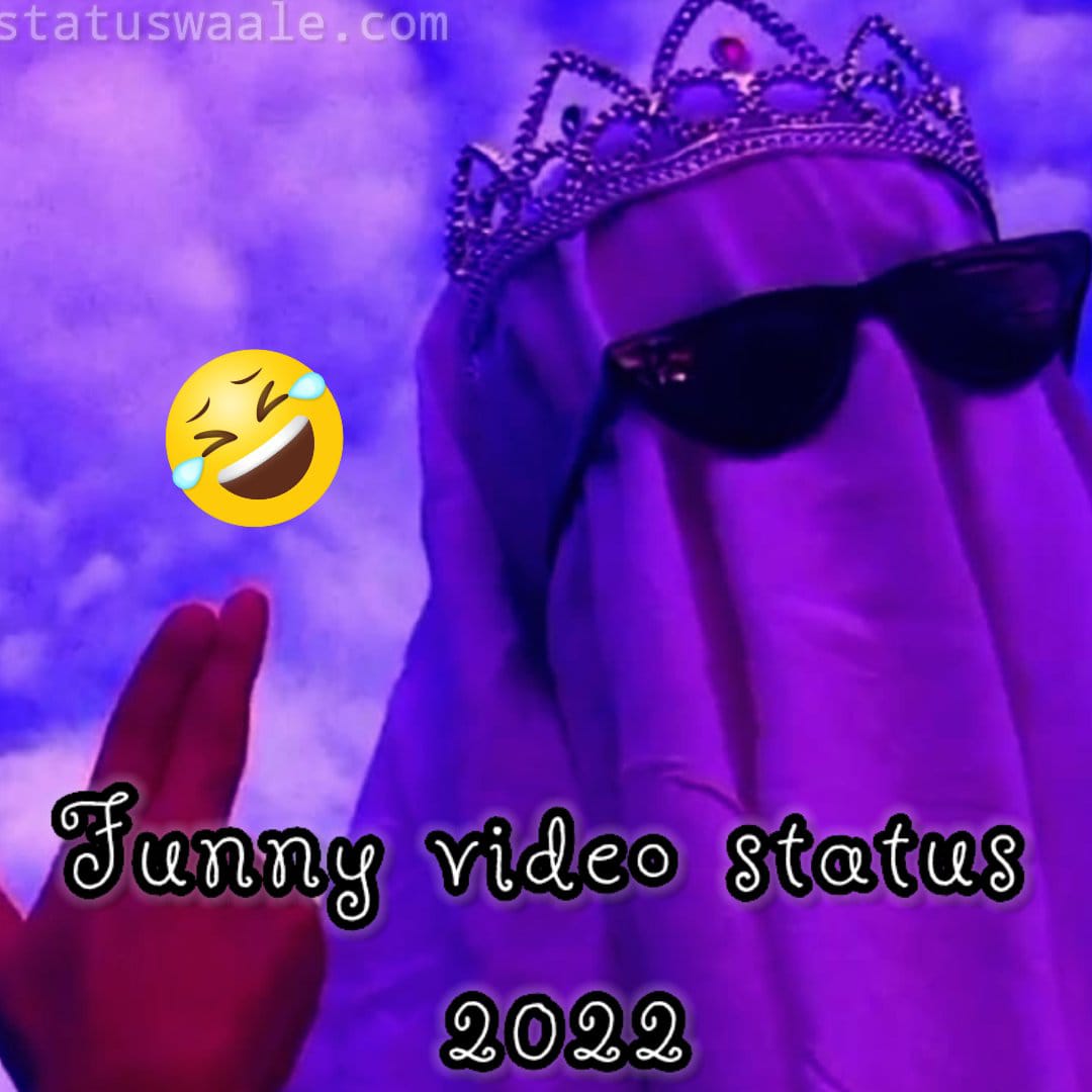 Funny Video 2022