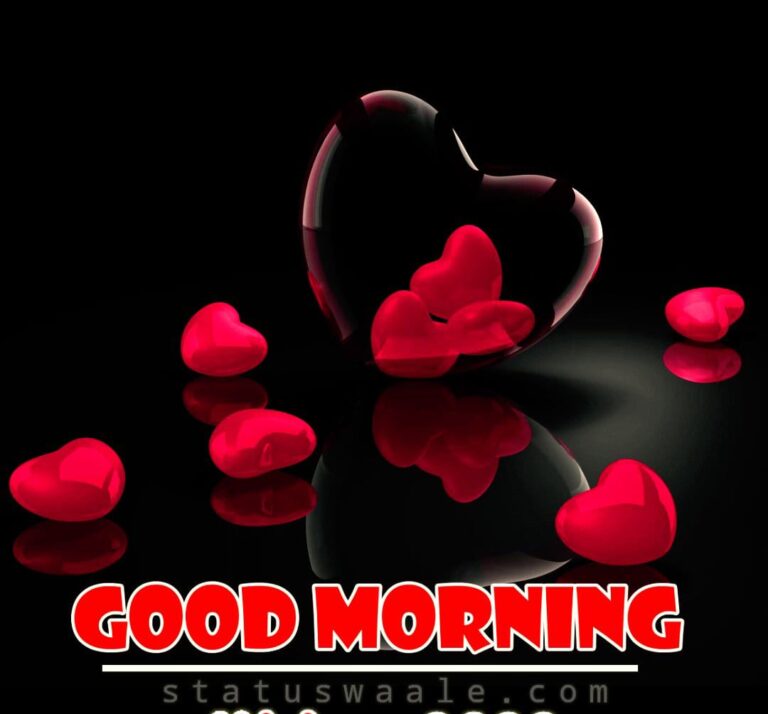 Happy Good Morning Video Status Download,Romentic good morning video status download, good morning status video love, good morning status Hindi songs, happy morning status video Download,fresh subha status video Download, shubhprabhat status video Download,hd morning love video status Download,full screen good morning wishes Video Download, good morning whatsapp status video Download, good morning wishes Video Status Download, good morning status video Download, share chat good morning wishes video Download, good morning wishes in English, fresh mood good morning video Download, good morning shayri video Download,sun rising morning video status Download,hd morning Video Status Download,