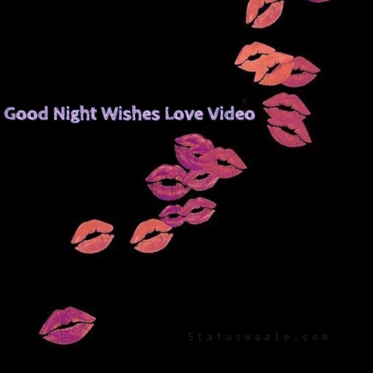 Good Night Status Video, Good Night Love Video Status, Good Night Kiss Video, Romantic Good Night Wishes, Romantic Night Wishes Video, 4k Good Night Wishes, Good Wishes To Friend, Hd Good Night Wishes, Latest Good Night Wishes Video, Good Night Share Chat Video, Night Status Instagram Video Download, Good Night Funny Video Status, Good Night Status Video In English,Good Night Hug Video,Shubh Ratri Video Status,Good Night Black Screen Video,