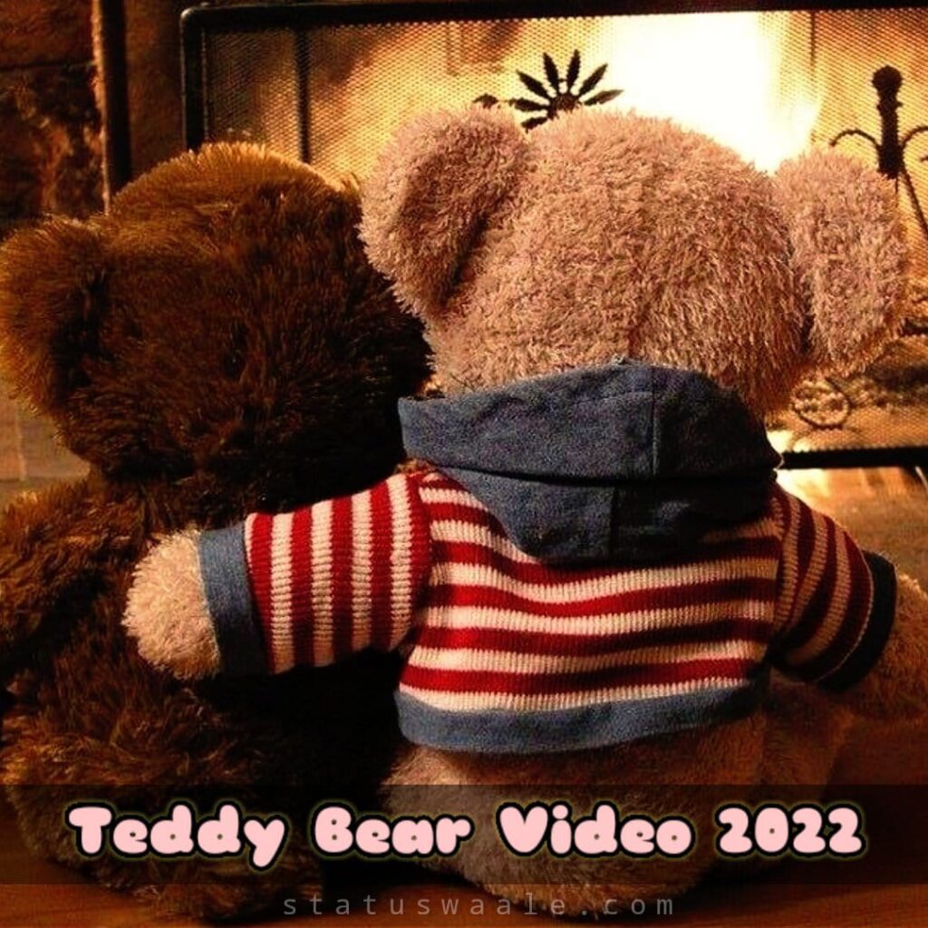 Teddy Bear Video,taddy status, Teddy Bear Video Status Download ,taddy bear hd video, taddy bear shearchat video, taddy Day video status 2023,taddy bear love status video,