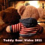 Teddy Bear Video,taddy status, taddy bear hd video, taddy bear shearchat video, taddy Day video status 2023,taddy bear love status video,