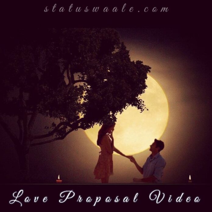 love propose Video Status Download, Love dialogue status video Download,Copule Love Propose Video Download,