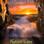 Nature Video Status Download