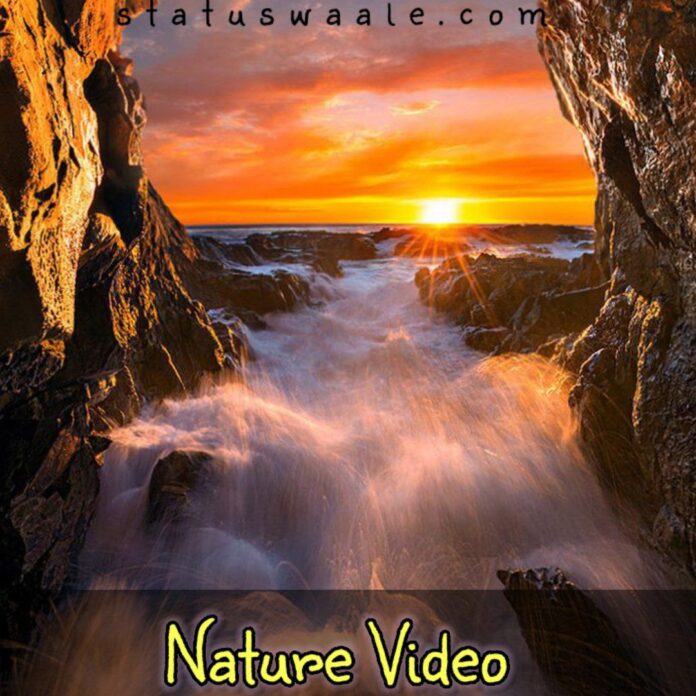 Nature Video Status Download, nature short Video Status Download, lovely Nature Video Status Download, beautiful nature view video status Download,forest nature view video status Download,hd nature video status Download,mansoon view video status Download, beautiful weather view video status Download,4k nature video status Download, colourful nature video status Download, romantic nature lovely views video status Download,fresh mood nature view video status Download, satisfaction view video status Download, mountain view video status Download,nature short video status Download,