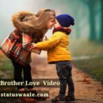 Brother love video Download