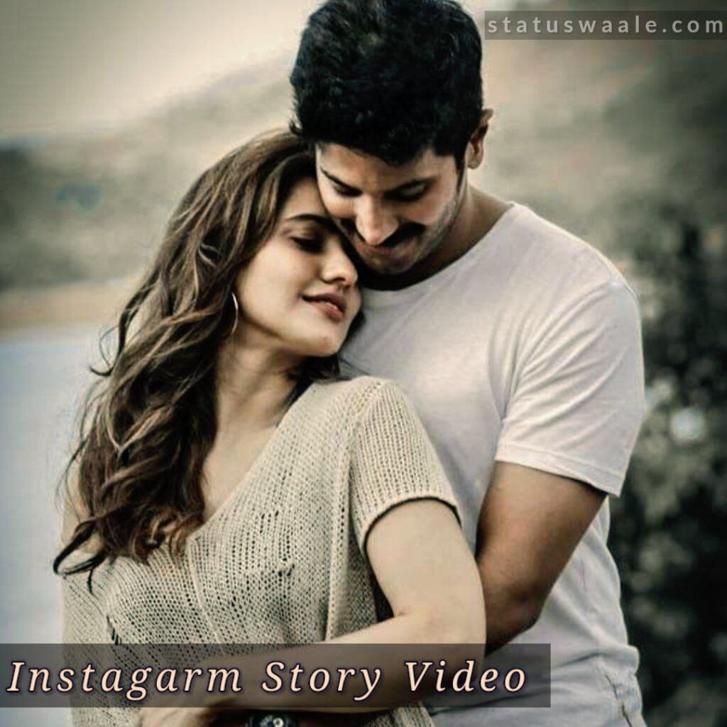 Instagram Story Video Download