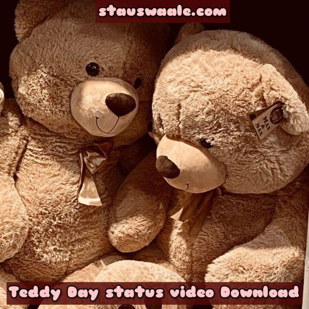 bear WhatsApp status video download, Happy Teddy Day video status Download HD, i love you teddy bear video download, teddy bear status video download market, teddy status video, teddy bear WhatsApp status video download mirchi, alone teddy bear WhatsApp status download, alone teddy bear WhatsApp status download, teddy bear status video download sharechat,bear WhatsApp status video, i love you teddy bear video, teddy bear status video download, teddy status video, teddy bear WhatsApp status video mirchi, alone teddy bear WhatsApp status, teddy bear WhatsApp status, teddy bear status video,