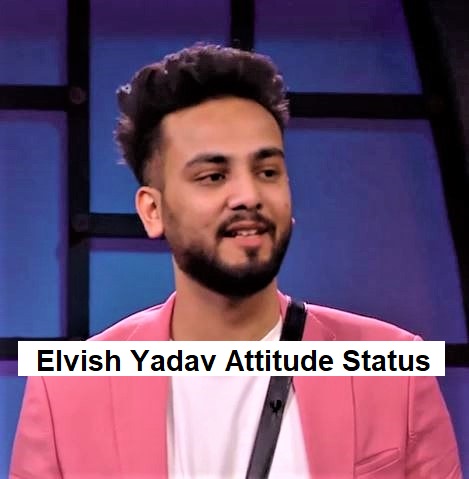 Elvish Yadav Attitude Status Video Download 2023